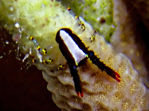 Demande identification