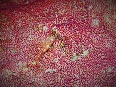 Demande identification