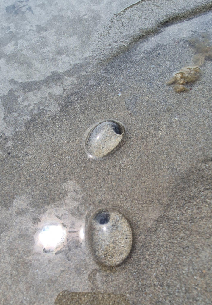 Des bulles gélatineuses transparentes