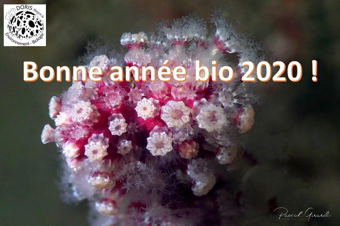 <p>Je vous souhaite une très belle année bio 2020 ! <img src="/extension/doris/design/doris/images/emoticones/smile.png" alt="Happy"></p>