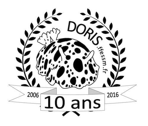 DORIS a 10 ans ! RDV à Paris le 19 novembre au soir