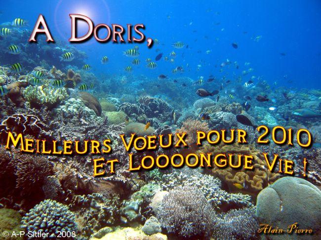 Michel a écrit : "<em>Par contre si quelqu'un avait l'annuaire des marées de 2010</em>..."<br /><br />Des quoi ???<br />APS, Côte d'Azur. ;-)<br />...