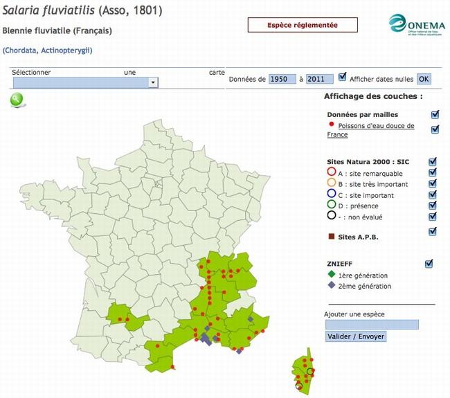 Ci-contre une carte de distribution de l'espèce <em>Salaria fluviatilis</em> en France d'après l'<a href="http://inpn.mnhn.fr/isb/servlet/ISBServle...