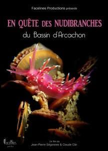 En quête des Nudibranches