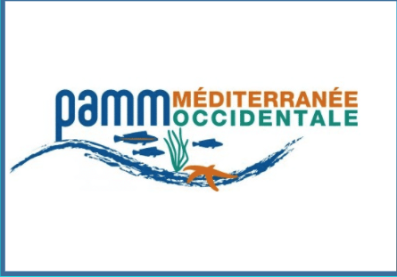 Enquête Sciences Participatives Méditerranée