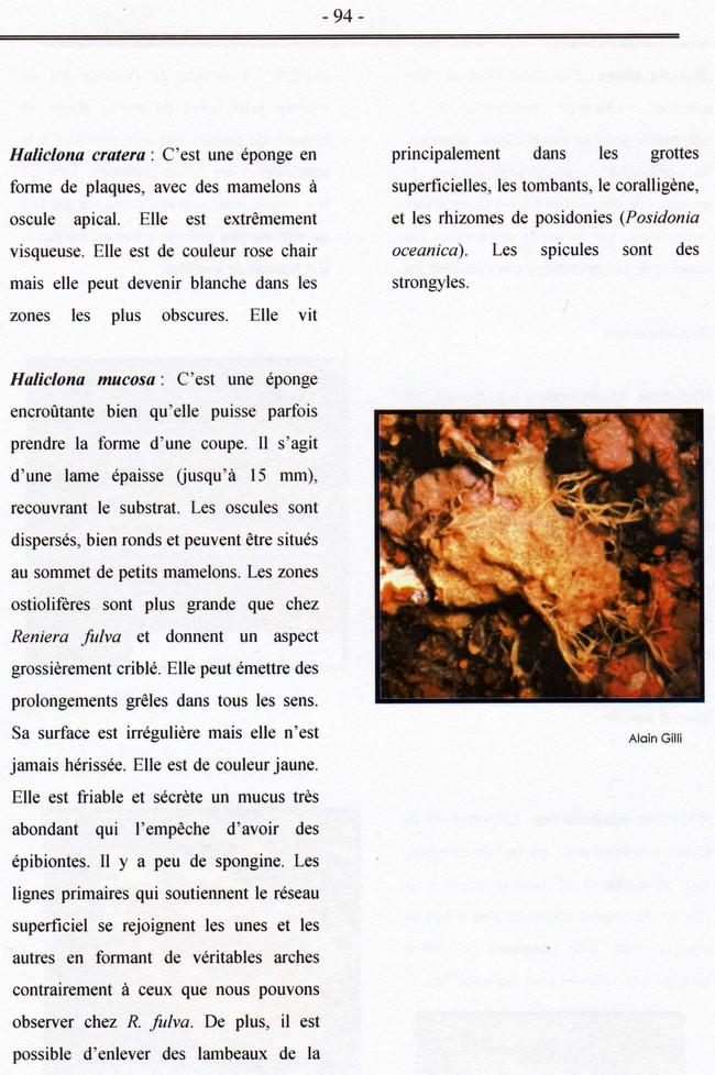 Voici une copie de la page du livre d'Alain Gilli sur les spongiaires.