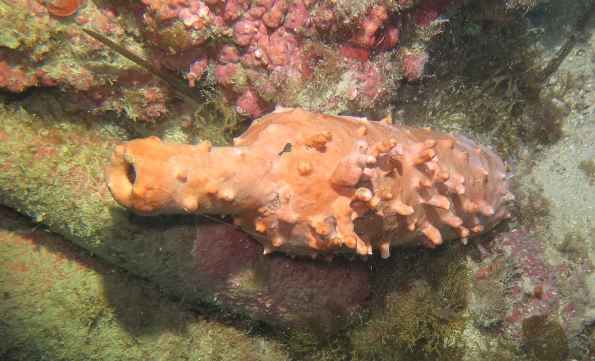 <p>Autre objet, même lieu</p>