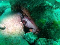 Etel; Morbihan; 18 septembre 2022; midi