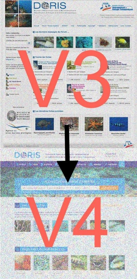 <div style="text-align: center;">Bonjour,<br /><br />Vous avez sans doute remarqué ces derniers temps un net ralentissement du site DORIS et des di...