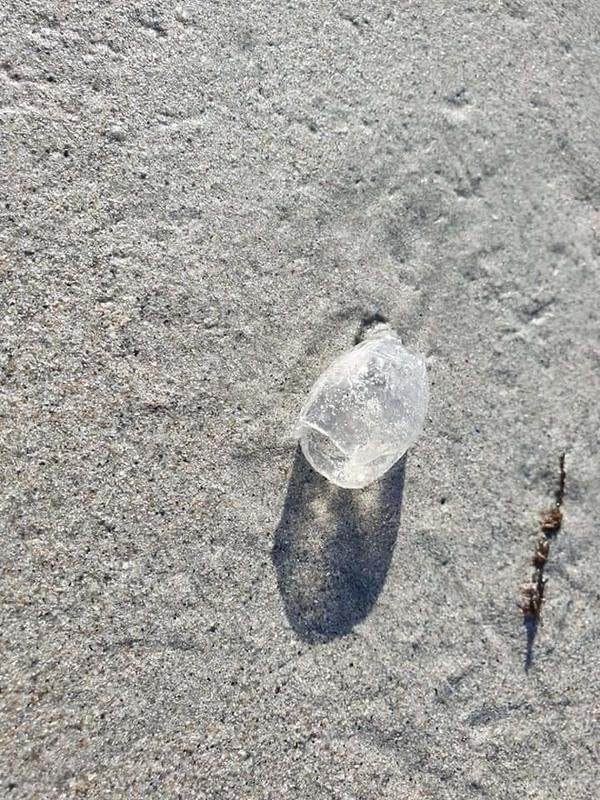 forme intrigante sortant du sable 