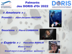 Gagnants JeuDORIS d'Or 2022