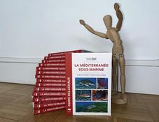 Guide : La Méditerranée sous-marine