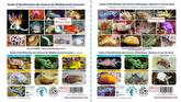 Guide limaces de mer de Méditerranée et Atlantique, Manche et mer du Nord