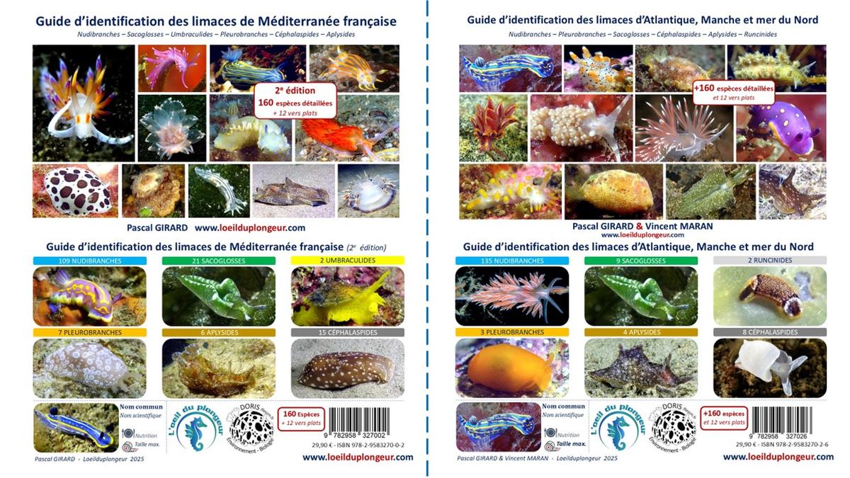 Guide limaces de mer de Méditerranée et Atlantique, Manche et mer du Nord