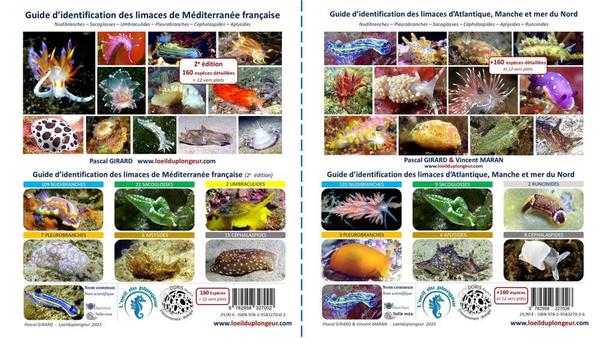 Guide limaces de mer de Méditerranée et Atlantique, Manche et mer du Nord