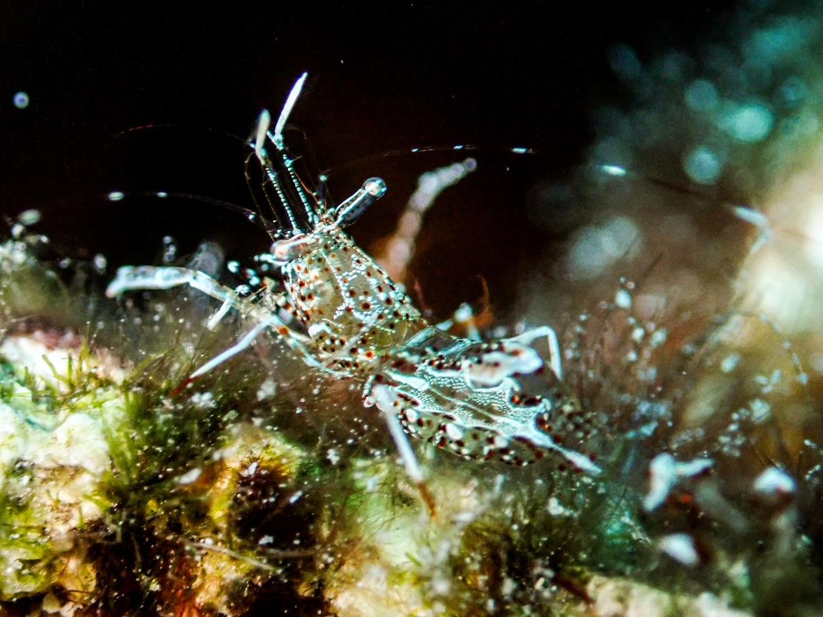 Identification demandée 