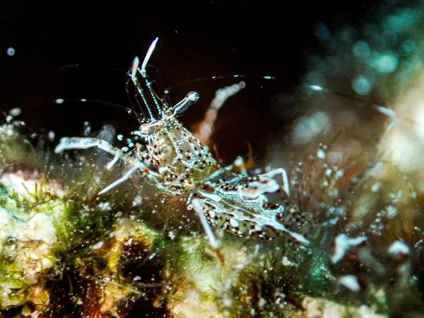 Identification demandée 