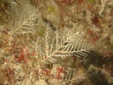 Identification hydraire Morbihan