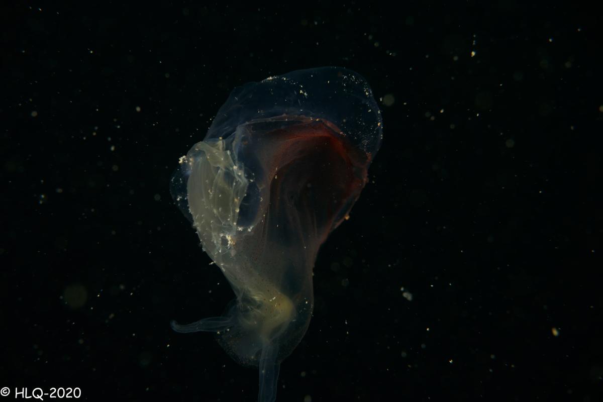 <p>Angle différent</p>