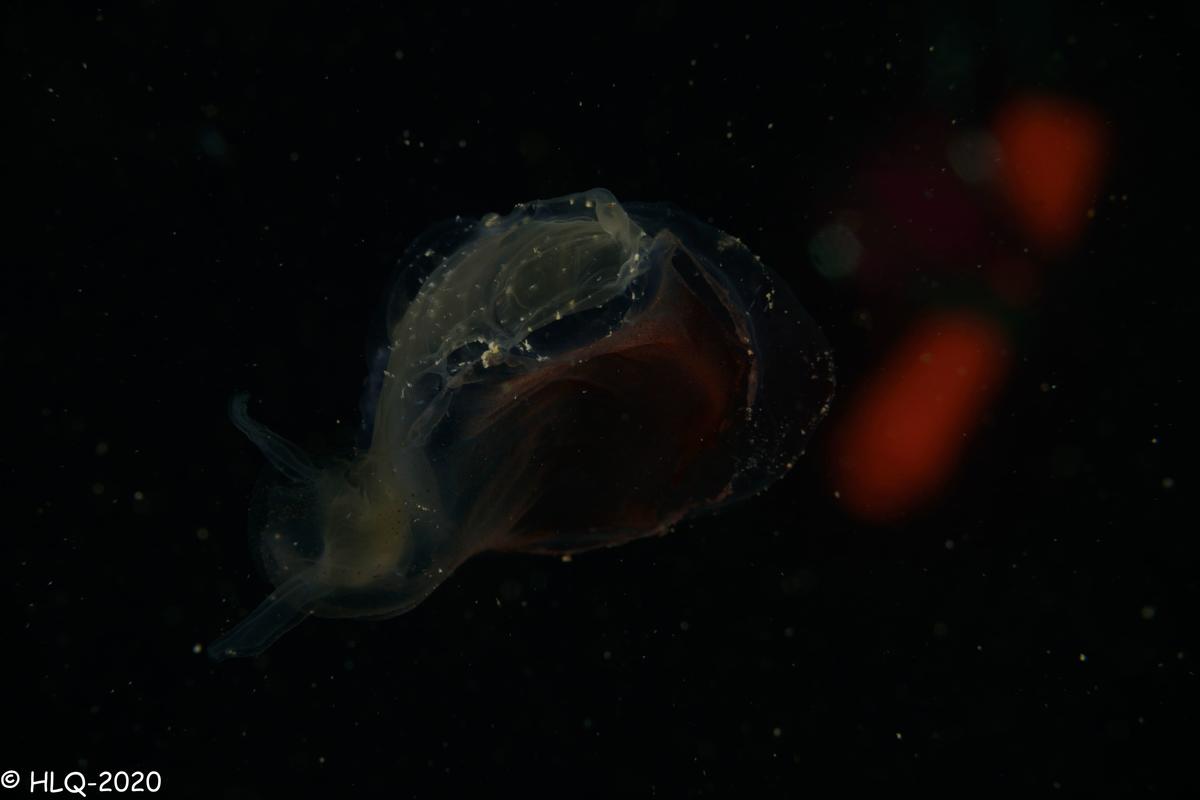 <p>Angle différent</p>