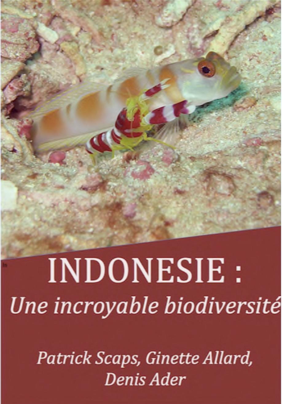 INDONESIE une incroyable biodiversité, Bulletin de souscription
