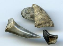 JeuDORIS d'Or Février 2026