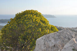 JeuDORIS d'Or Novembre 2019