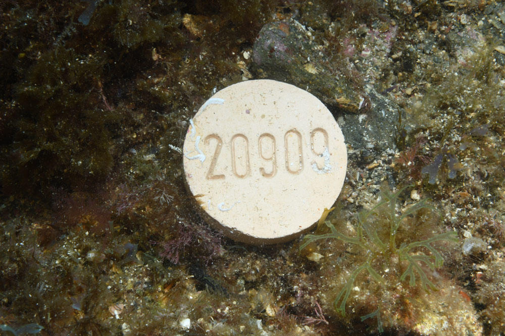 JeuDORIS d'Or Septembre 2025