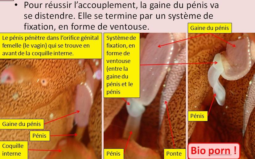 <p>Suite des explications</p>