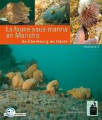 LIVRE : Faire part de naissance.
