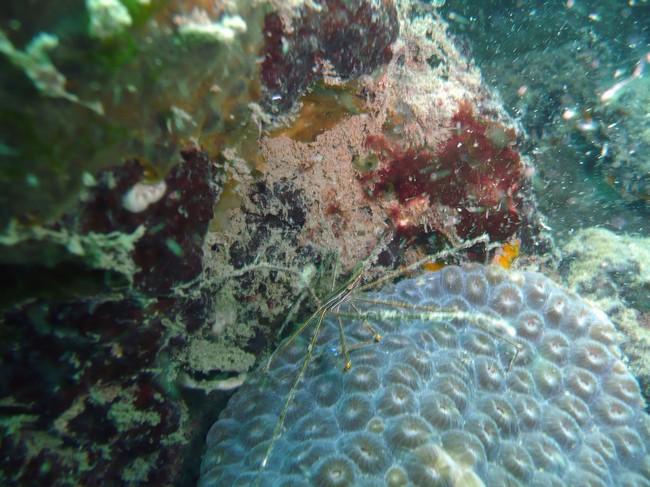 la même ? dans un environnement différend