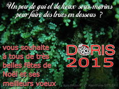 Meilleurs voeux pour 2015