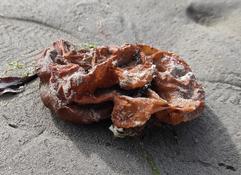 Membrane orange sur la plage, une idée ?