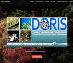 Mise à jour de l'application DORIS pour Android - version 4.11.2