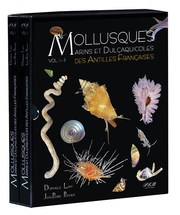 Mollusques des Antilles françaises