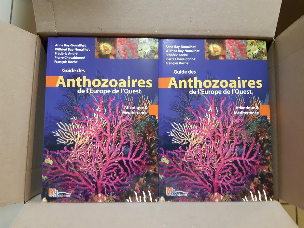 <p>Pour info, le guide est bien imprimé. Il est magnifique et est arrivé chez l'éditeur ! Ne tardez pas à le commander à tarif réduit avant le 7 dé...