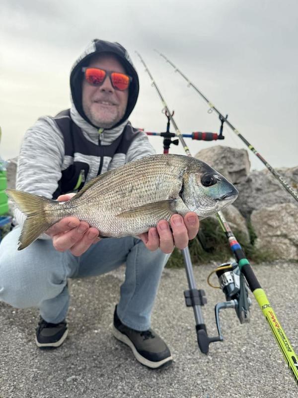Poisson inconnu pris du bord