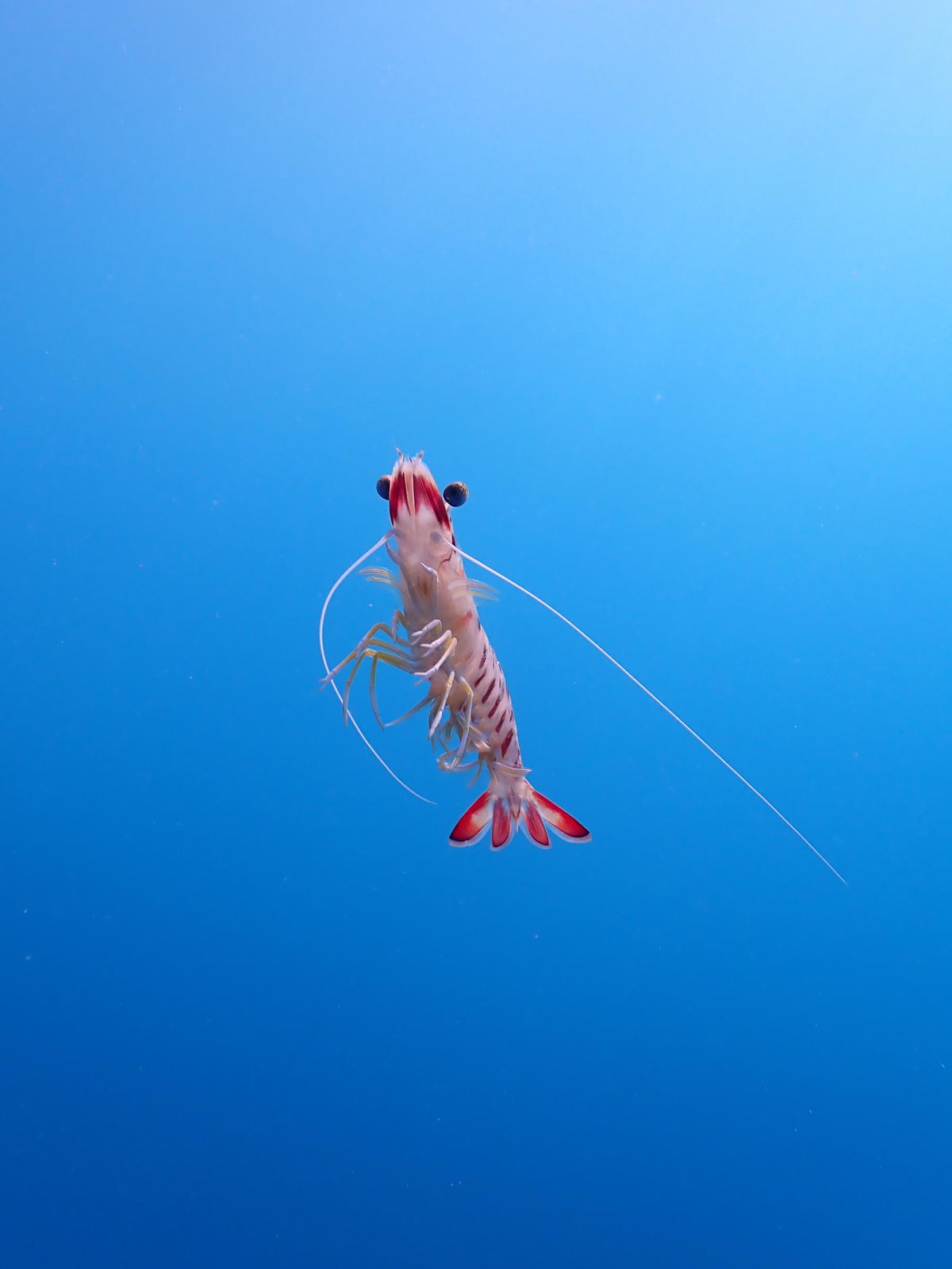 <p>juste pour partager une autre photo</p>