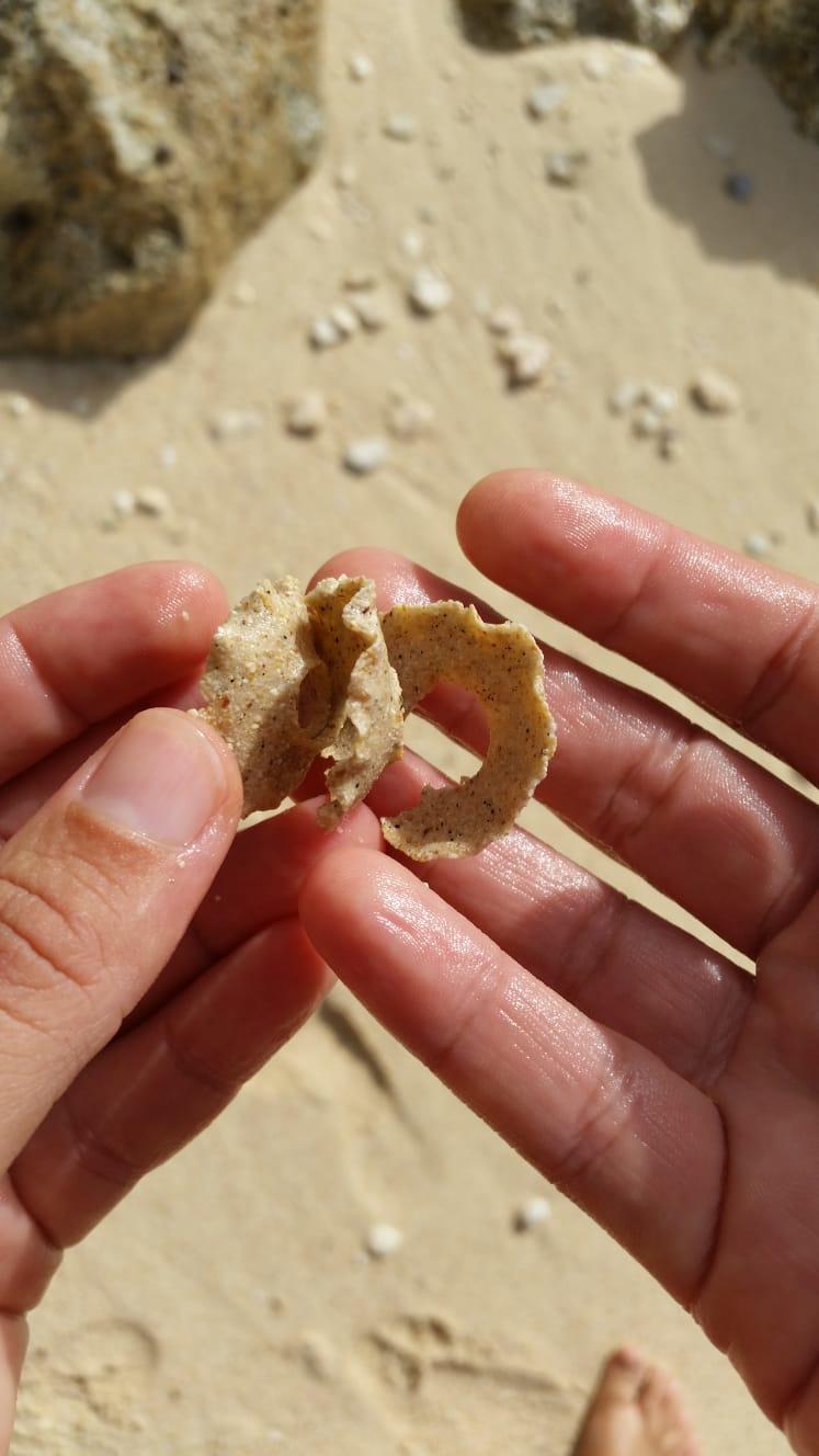 Quel coquillage fait ça?