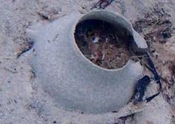 Quel est cet organisme