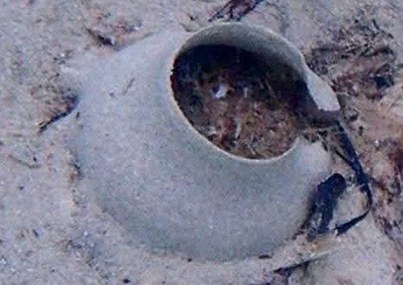 Quel est cet organisme