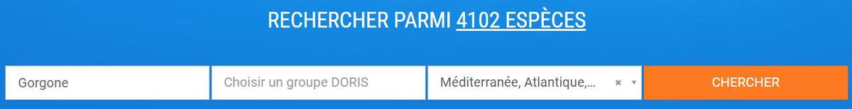 <p>Salut Guillaume,</p><p>Si tu tapes "gorgone" dans le moteur de l'accueil  et que tu sélectionnes la zone géographique, tu devrais trouver ton es...