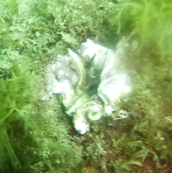 Quelqu'un à une idée