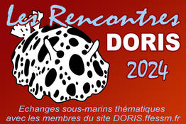 Rencontres DORIS Novembre 2024