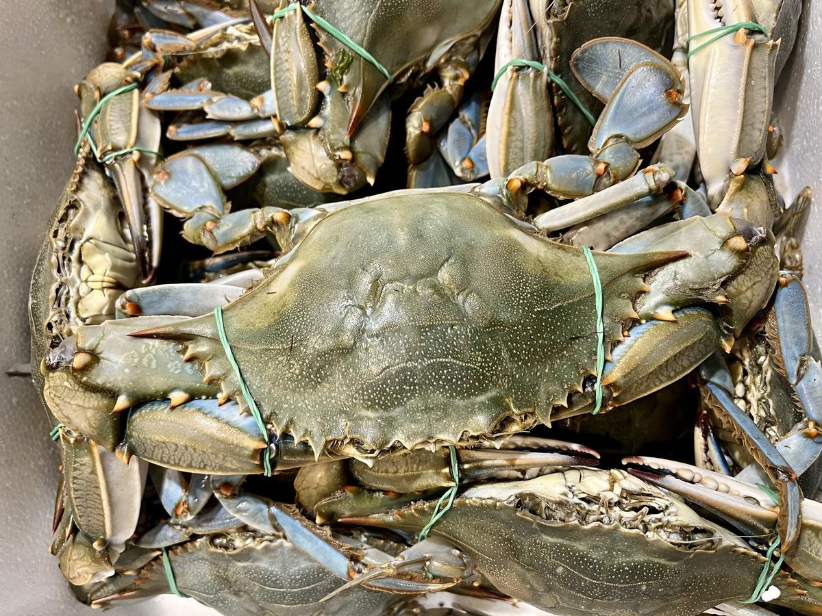 <p>Bonjour à toutes et à tous,</p><p>Je ne sais pas si cette information a un intérêt ici, mais voilà les photos prises au marché sur l'étale d'un...