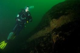 RéseauDoris : Invasion de moules en rade de Brest