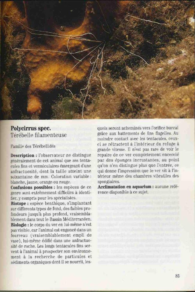 Bonjour<br />Merci pour vos retours.<br />Avec l'aide d'un ami nous avons trouvé semble t il le nom de ce vers<br />Ouvrage d'Helmut Gothel "guide...