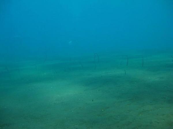 Sortant du sable