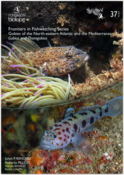 Sortie du guide d'identification des gobies des genres Gobius et Thorogobius