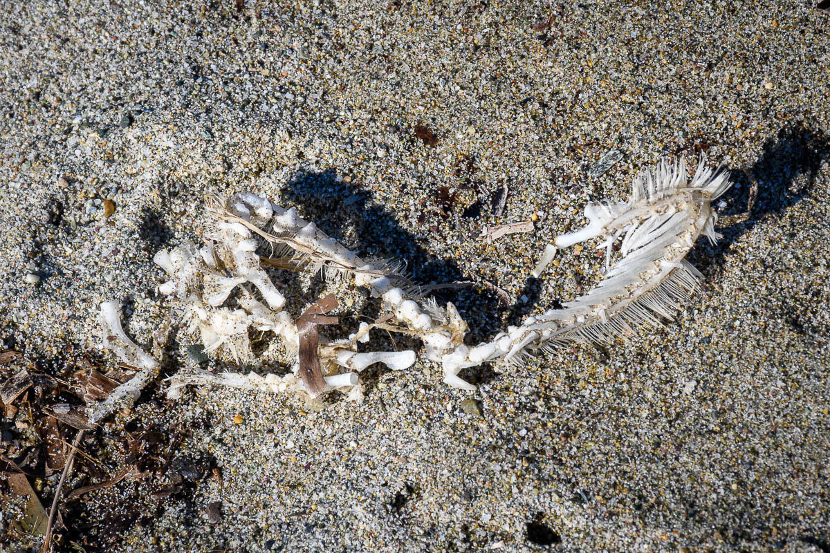 <p>image 2</p><p>déplié environ 40 cm de long</p>